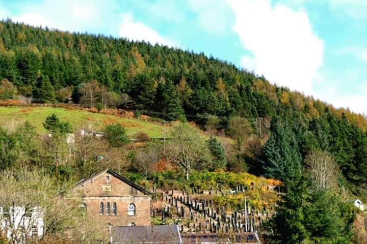 Selah Cottage, 21 Queen Street Pontrhydyfen الغرفة الصورة