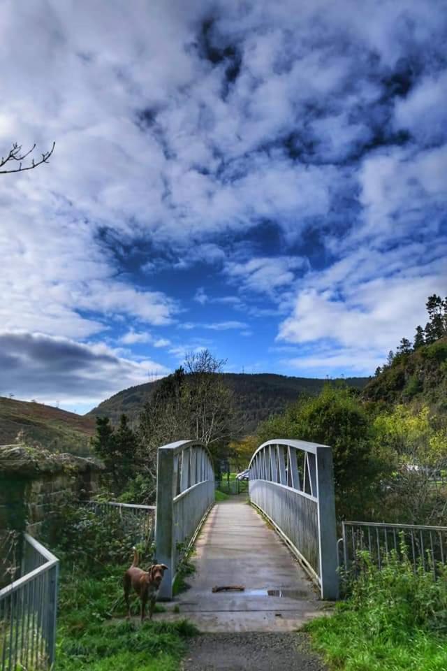 Selah Cottage, 21 Queen Street Pontrhydyfen الغرفة الصورة