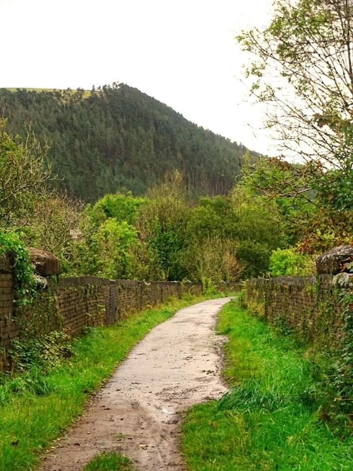 Selah Cottage, 21 Queen Street Pontrhydyfen الغرفة الصورة