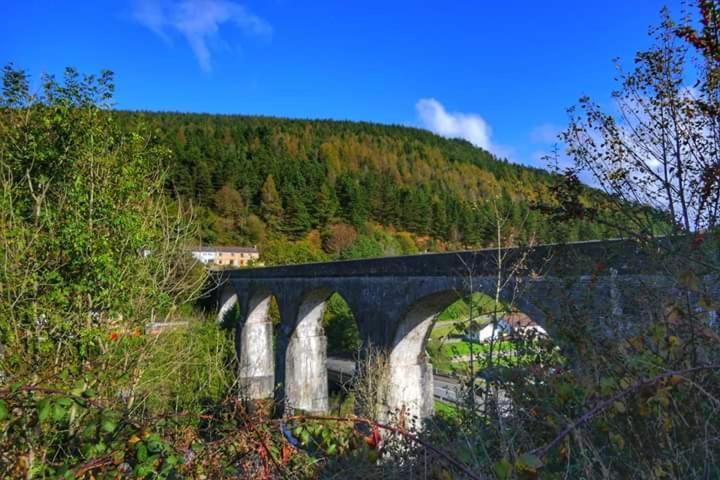 Selah Cottage, 21 Queen Street Pontrhydyfen الغرفة الصورة