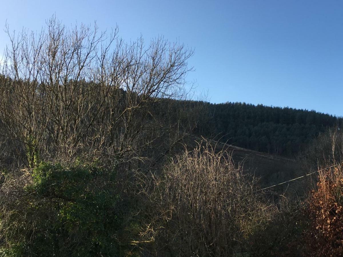 Selah Cottage, 21 Queen Street Pontrhydyfen المظهر الخارجي الصورة