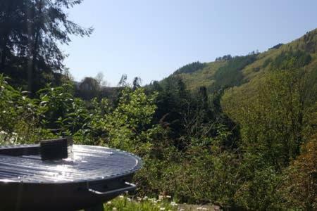 Selah Cottage, 21 Queen Street Pontrhydyfen المظهر الخارجي الصورة